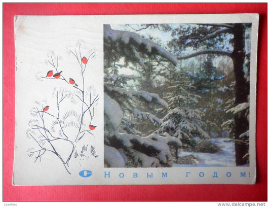 New Year Greeting Card - by I. Filippov -Winter Forest - bullfinch - birds - stationery card - 1969 - Russia USSR - used - JH Postcards