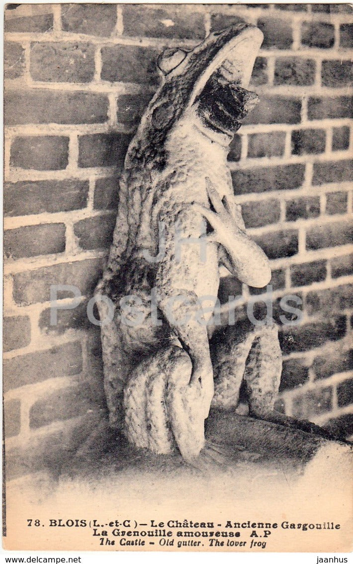 Blois - Le Chateau - Ancienne Gargouille - La Grenouille amoureuse - castle - 78 - old postcard - France - unused - JH Postcards