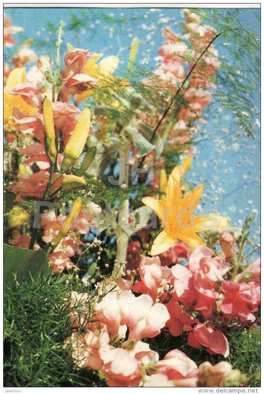 greeting card - lily - flowers - Estonia USSR - used in 1990 - JH Postcards