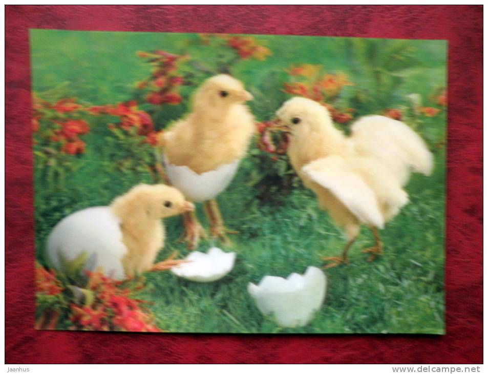 Japan - 3D - stereo - Easter - chicks - sent from Sweden to Finland - 1976 - nice stamp! - used - JH Postcards