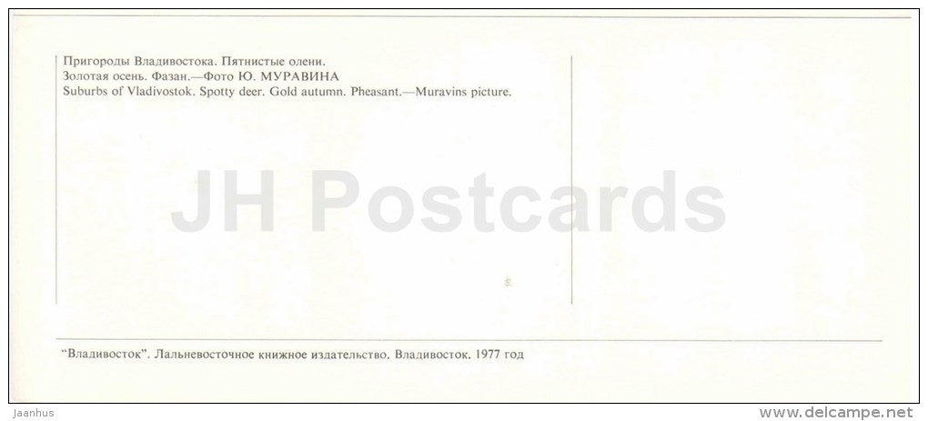 golden autumn - suburbs - spotty deer - Pheasant - Vladivostok - 1977 - Russia USSR - unused - JH Postcards