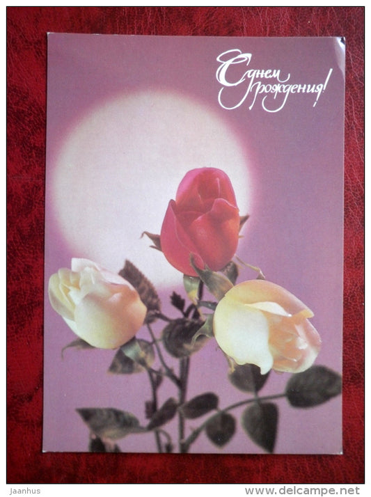 Birthday Greeting Card - red and white roses - flowers - 1987 - Russia - USSR - unused - JH Postcards