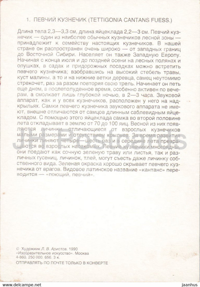 Tettigonia cantans - Upland Green Bush-Cricket - Insekten - Illustration - 1990 - Russland UdSSR - unbenutzt