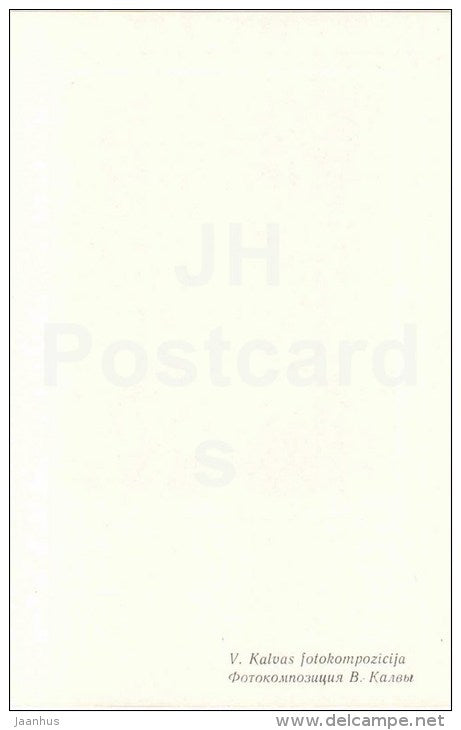 ikebana - flowers composition - 7 - 1981 - Latvia USSR - unused - JH Postcards