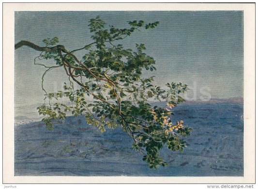 painting by A. Ivanov - Branch , 1884-85 - Russian art - 1956 - Russia USSR - unused - JH Postcards