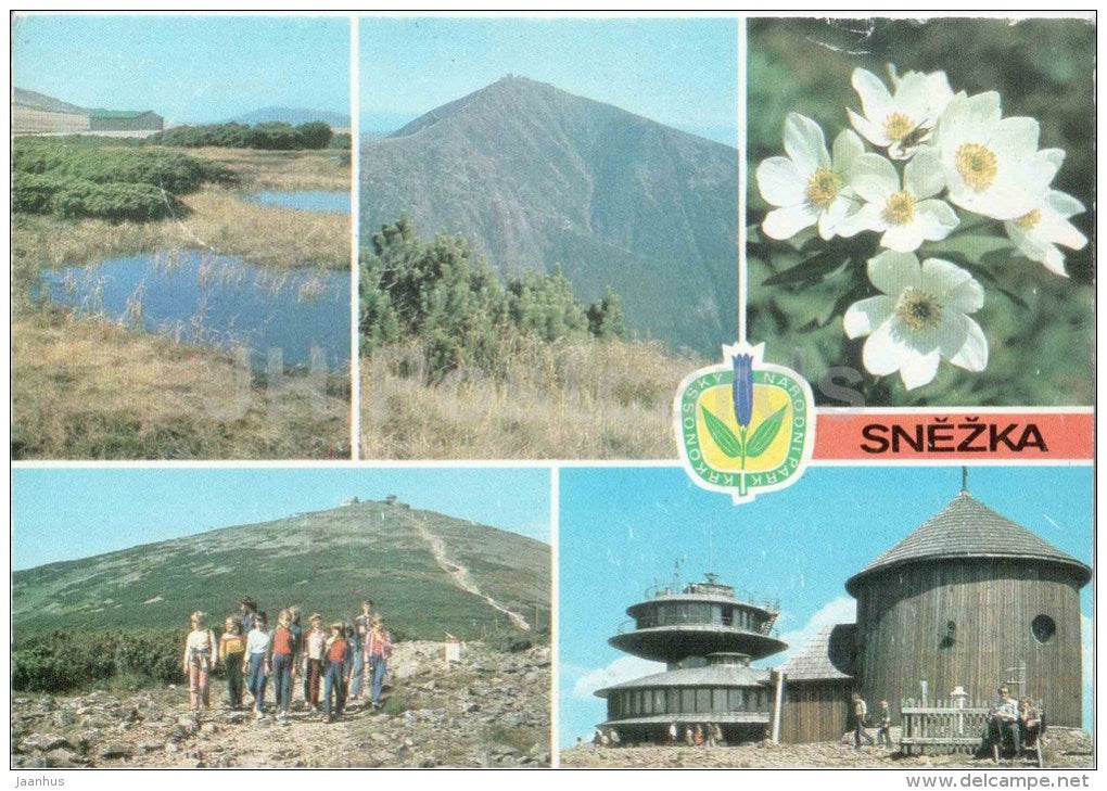 Snezka mountain - Krkonose - highest peak of the Giant Mountains - flowers - Czechoslovakia - Czech - used 1994 - JH Postcards