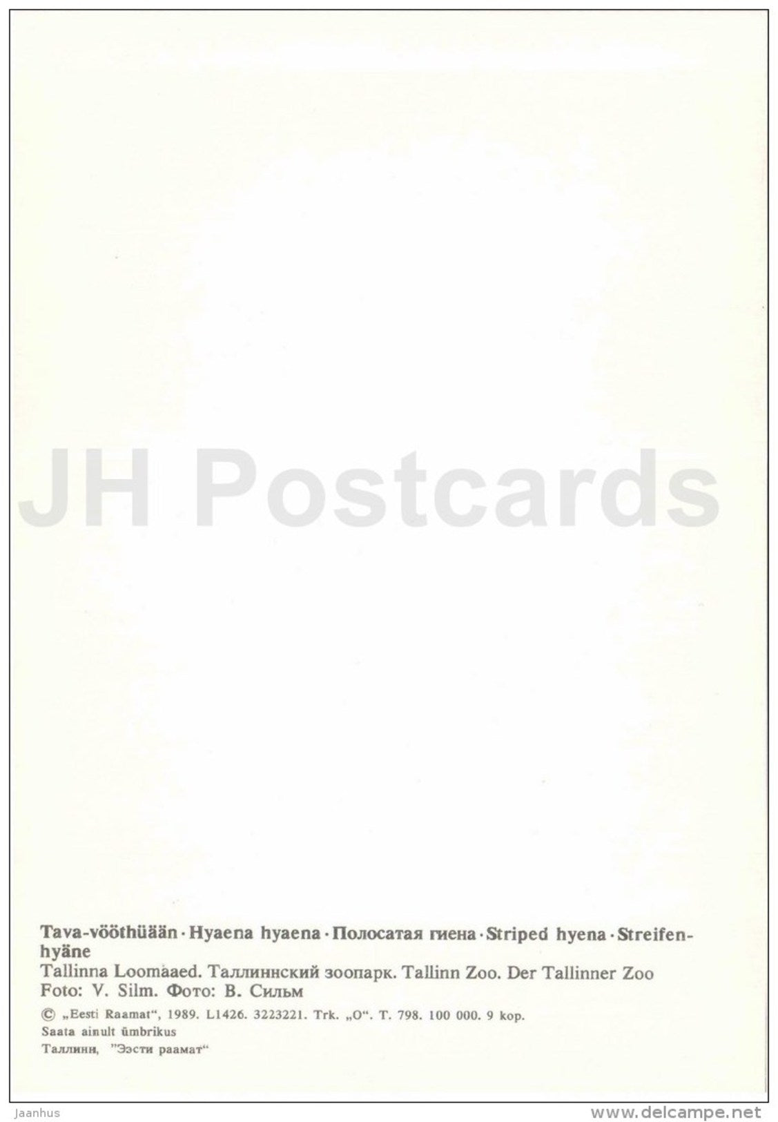 Striped hyena - Hyaena hyaena - large format card - Tallinn Zoo 50 - 1989 - Estonia USSR - unused - JH Postcards