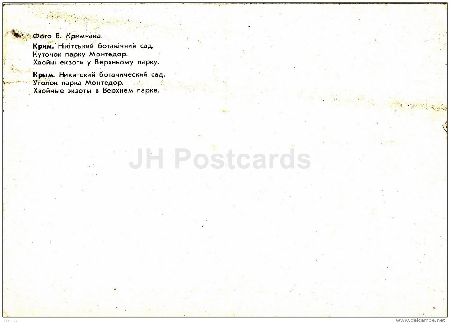 Corner of the Park Montedor - Exotic coniferous in Upper Park - Nikitsky Botanical Garden - 1991 - Ukraine USSR - unused - JH Postcards