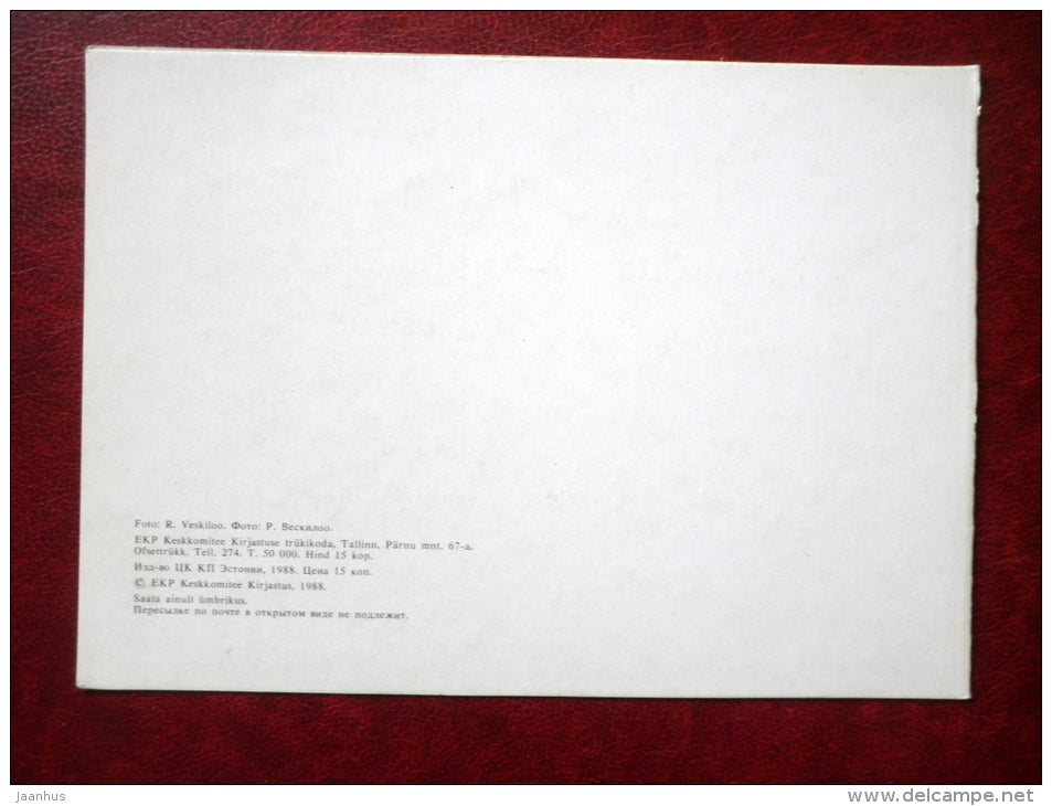 8 March Greeting Card - flowers - 1988 - Estonia USSR - used - JH Postcards