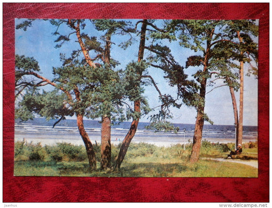 Dune Pines in Melluzhi - Jurmala - 1978 - Latvia USSR - unused - JH Postcards