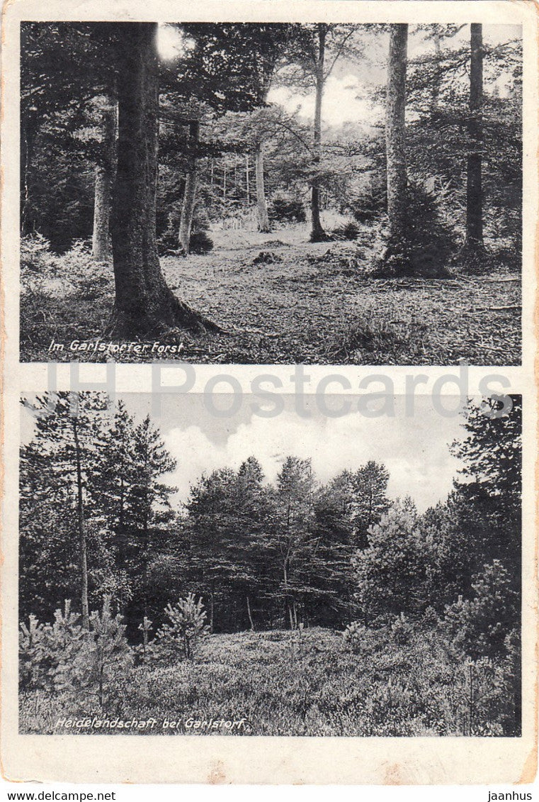 Im Garlstorfer Forst - Heidelandschaft bei Garlstorf - Das Gasthaus Heidehof - old postcard - Germany - unused - JH Postcards