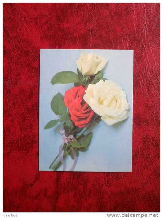 red and white roses - flowers - mini card - 1987 - Russia - USSR - unused - JH Postcards