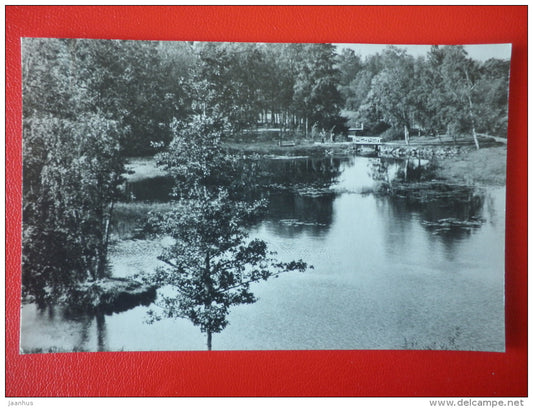 pond in the city park - Käkisalmi - Priozersk - 1966 - Russia USSR - unused - JH Postcards