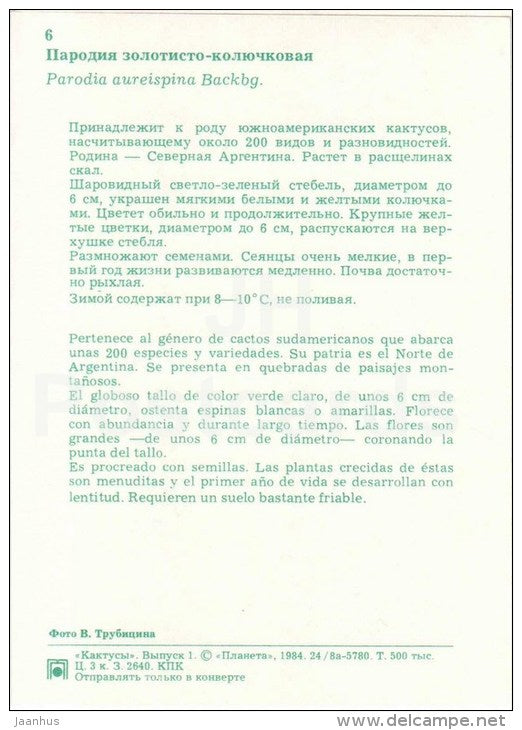 Parodia aureispina - cactus - flowers - 1984 - Russia USSR - unused - JH Postcards