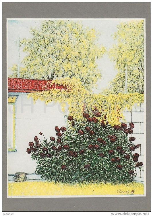 painting by V. Onnis - Home Garden Scene , 1987 - Estonian art - 1992 - Estonia - unused - JH Postcards