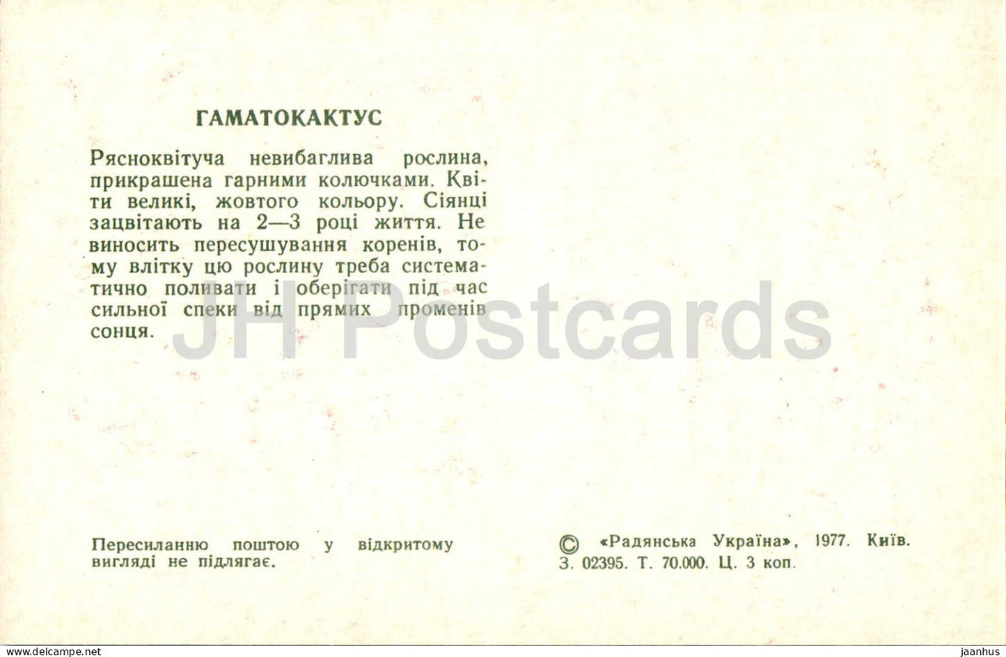 Hamatocactus - Kakteen - Kaktus - Blumen - 1977 - Ukraine UdSSR - unbenutzt 