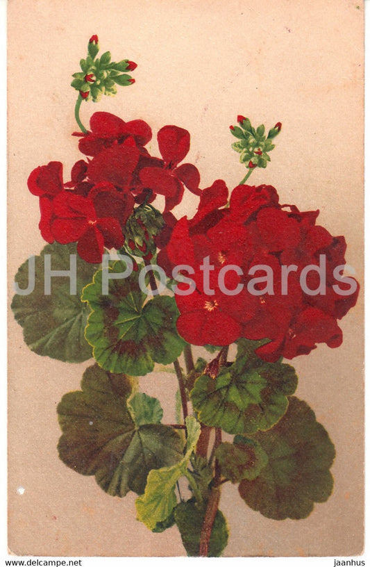red flowers - No 19 - Vouga & Cie - old postcard - Switzerland - unused - JH Postcards