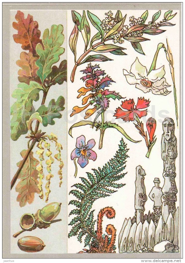 fern - violet - carnation - oak - olive - narcissus - Legendary plants - Amazing Plants - 1989 - Russia USSR - unused - JH Postcards