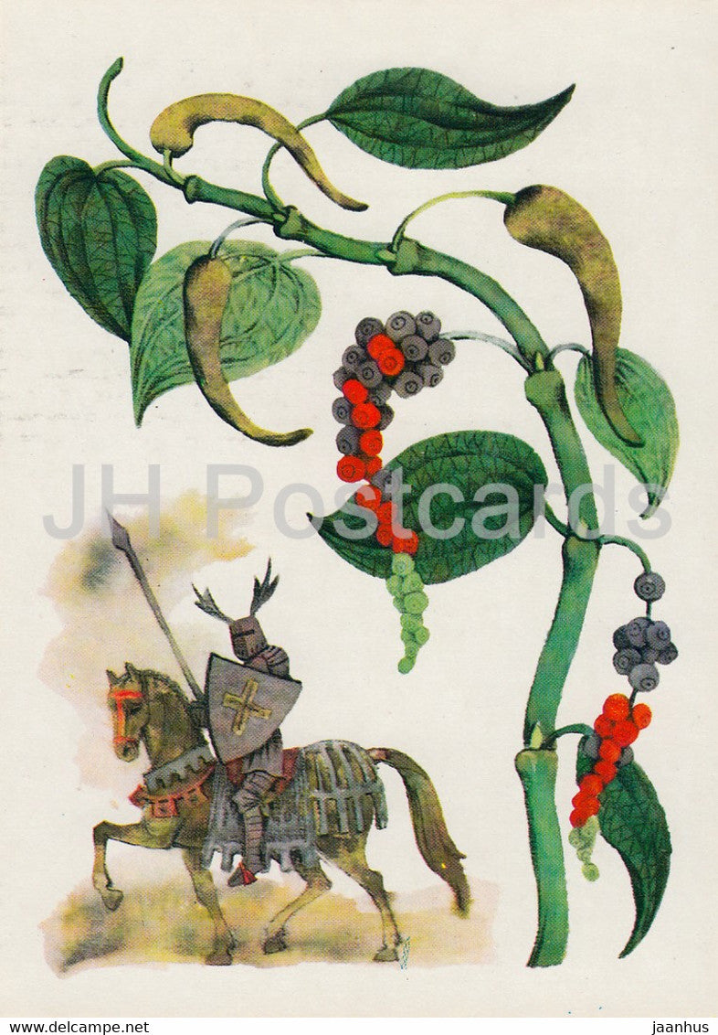 Pepper - knight - Spice Plants - 1986 - Russia USSR - unused - JH Postcards