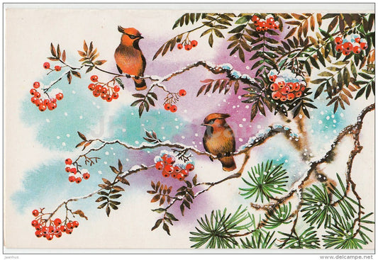 New Year Greeting Card by T. Zhebelyeva - rowan - birds - 1988 - Russia USSR - used - JH Postcards
