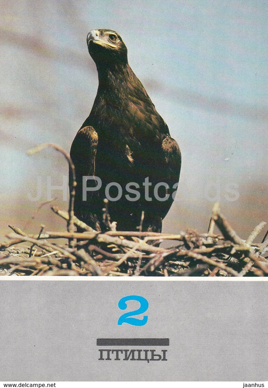 Tawny eagle - Aquila rapax - birds - animals - 1989 - Russia USSR - unused - JH Postcards
