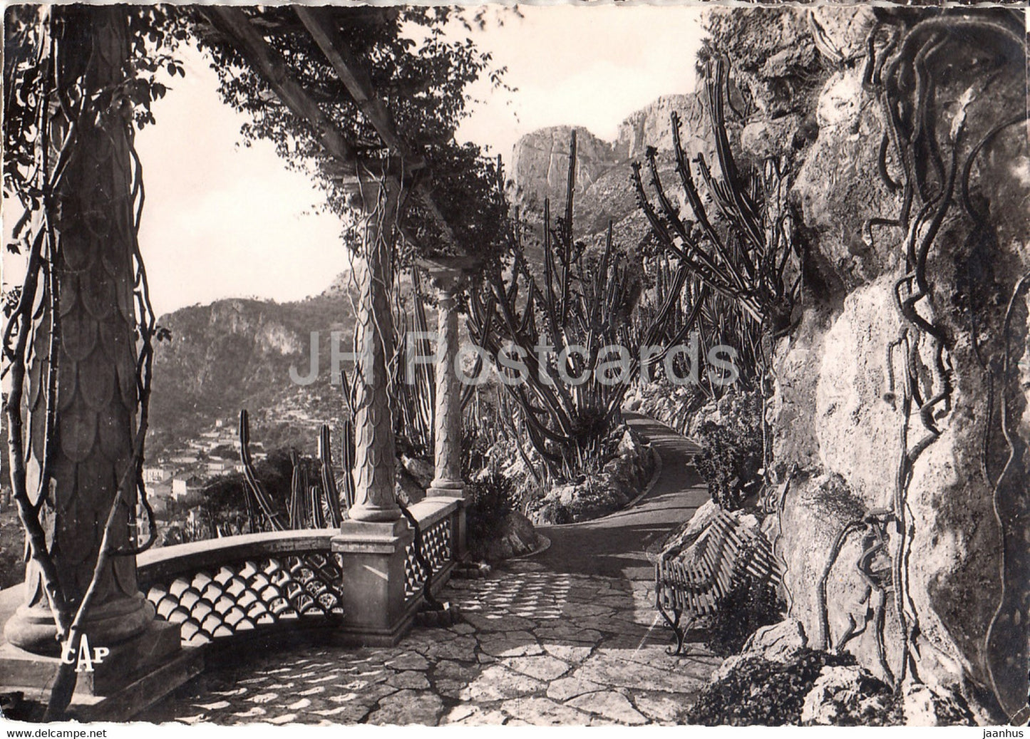 Monaco - Le Jardin exotique - 37 - 1952 - Monaco - used - JH Postcards