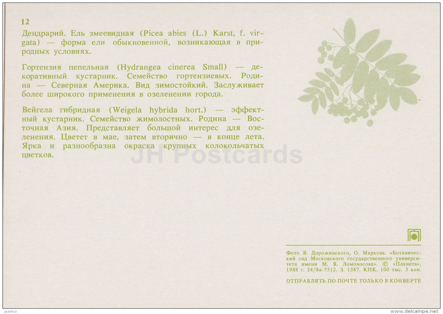 Norway spruce , Picea abies - Hydrangea cinerea - Weigela hybrida  Moscow Botanical Garden - 1988 - Russia USSR - unused - JH Postcards