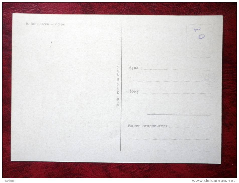 Painting by W. Zakshevsky - asters - flowers - poland art - unused - JH Postcards