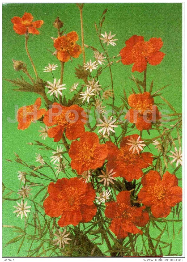 orange flowers - postal stationery - 1989 - Russia USSR - unused - JH Postcards