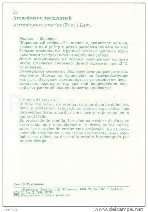 Sand Dollar Cactus - Astrophytum asterias - cactus - flowers - 1984 - Russia USSR - unused - JH Postcards