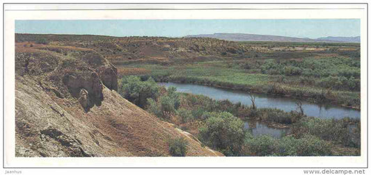 Landscape - Tigrovaya Balka Nature Reserve - 1983 - Russia USSR - unused - JH Postcards