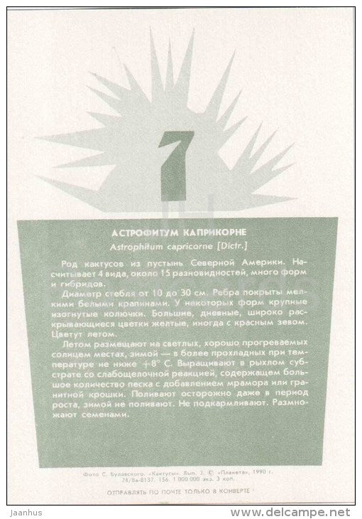 Goat's Horns Cactus - Astrophytum capricorne - cactus - plants - 1990 - Russia USSR - unused - JH Postcards