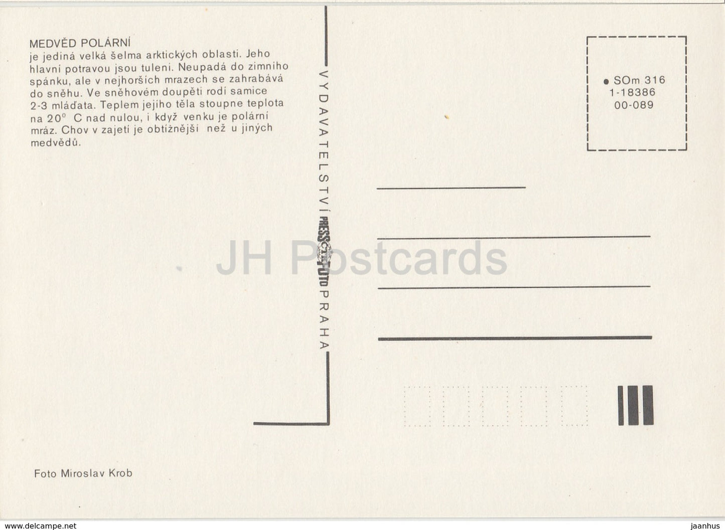 Polar bear - Zoo - Czechoslovakia - Czech Republic - unused