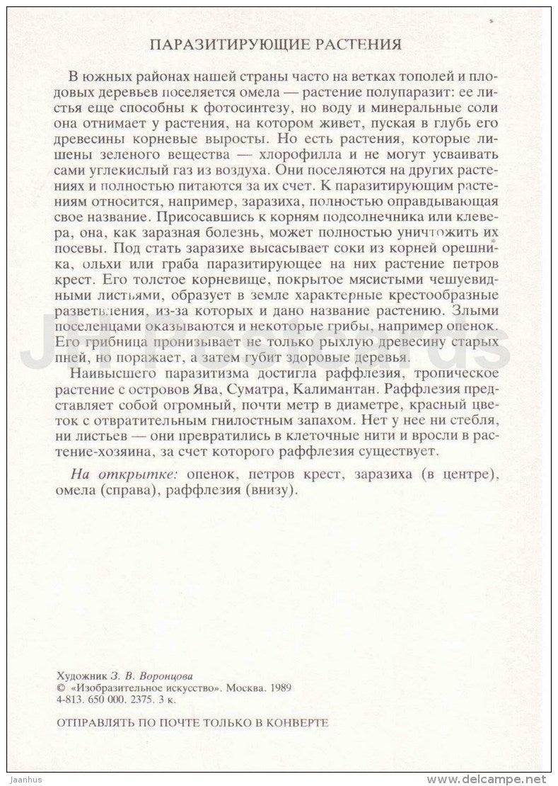 Rafflesia Arnoldi - Mistletoe - Orobanche - Lathraea - Armillaria - Amazing Plants - 1989 - Russia USSR - unused - JH Postcards