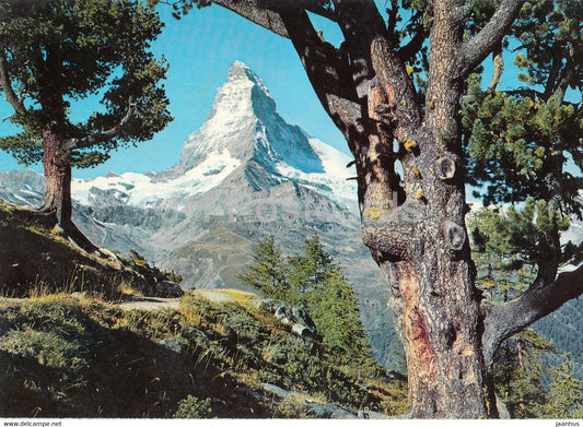 Zermatt - Riffelalp mit Matterhorn 4476 m - 9085 - Switzerland - used - JH Postcards