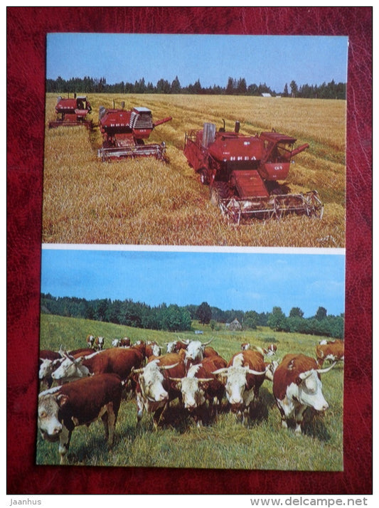 Võrumaa - Sovkhoz, State Farm Võru - harvesters - cows - 1984 - Estonia - USSR - unused - JH Postcards