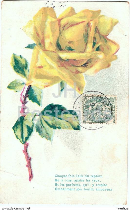 flowers - yellow rose - chaque fois l'aile du zephire - J. Duverne - illustration - old postcard - 1906 - France - used - JH Postcards