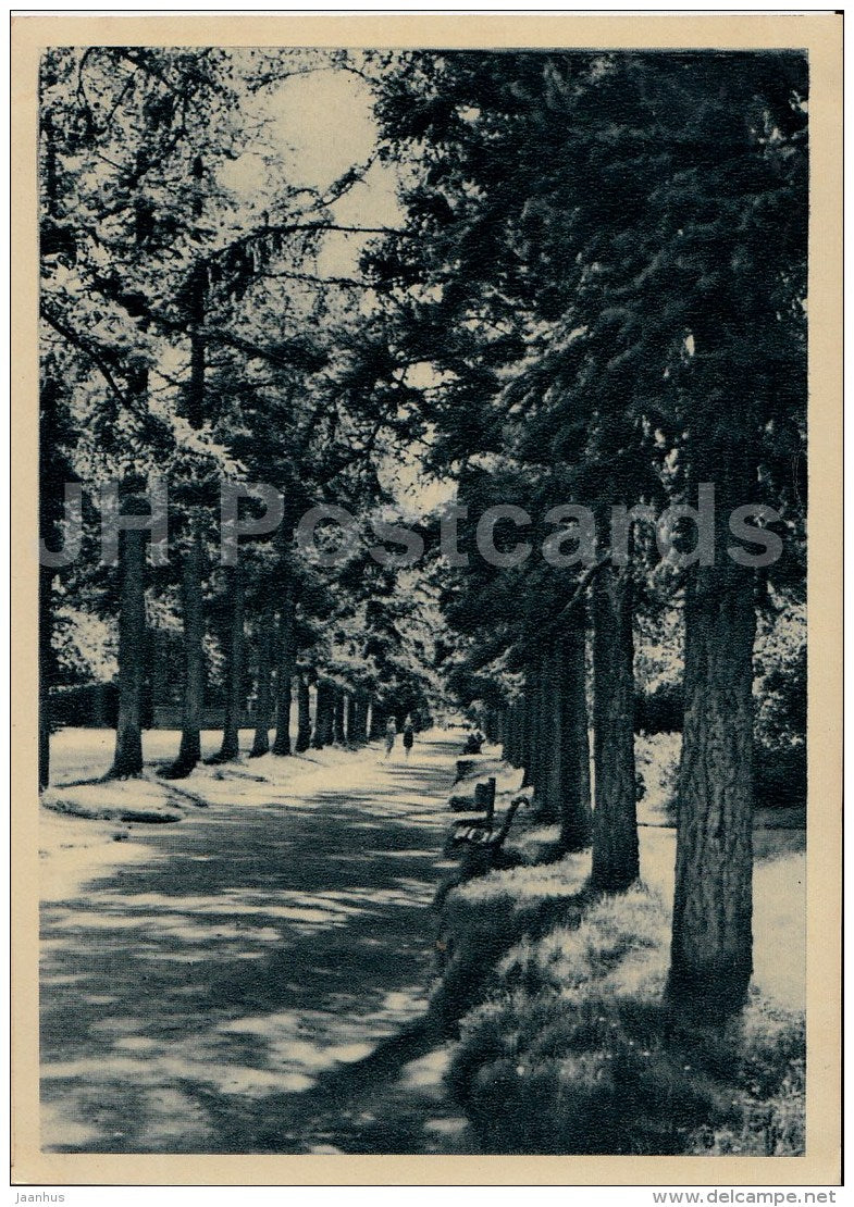 The Alley in Lehe street - Pärnu - 1964 - Estonia USSR - unused - JH Postcards