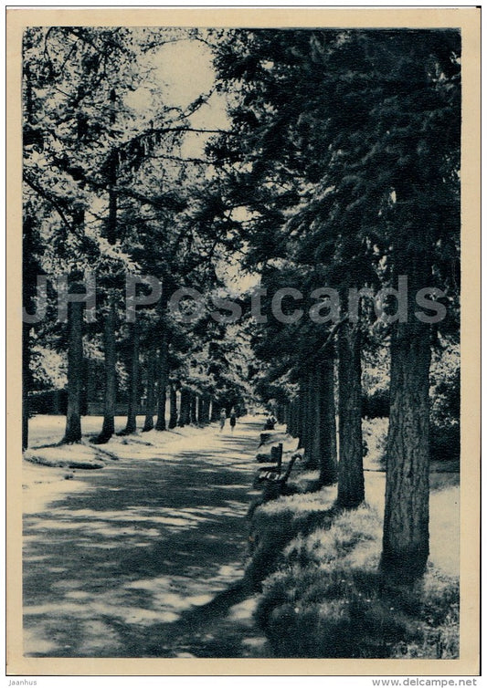 The Alley in Lehe street - Pärnu - 1964 - Estonia USSR - unused - JH Postcards