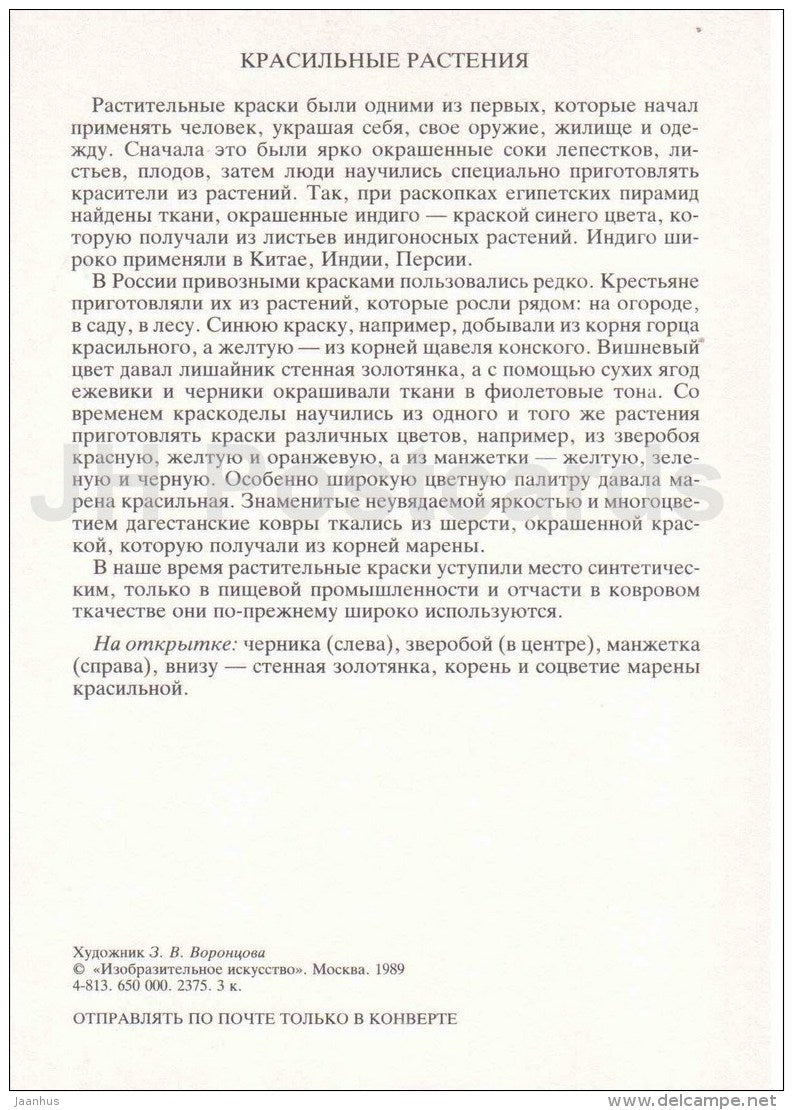 madder dyeing - tutsan - blueberry - Dyeing Plants - Amazing Plants - 1989 - Russia USSR - unused - JH Postcards
