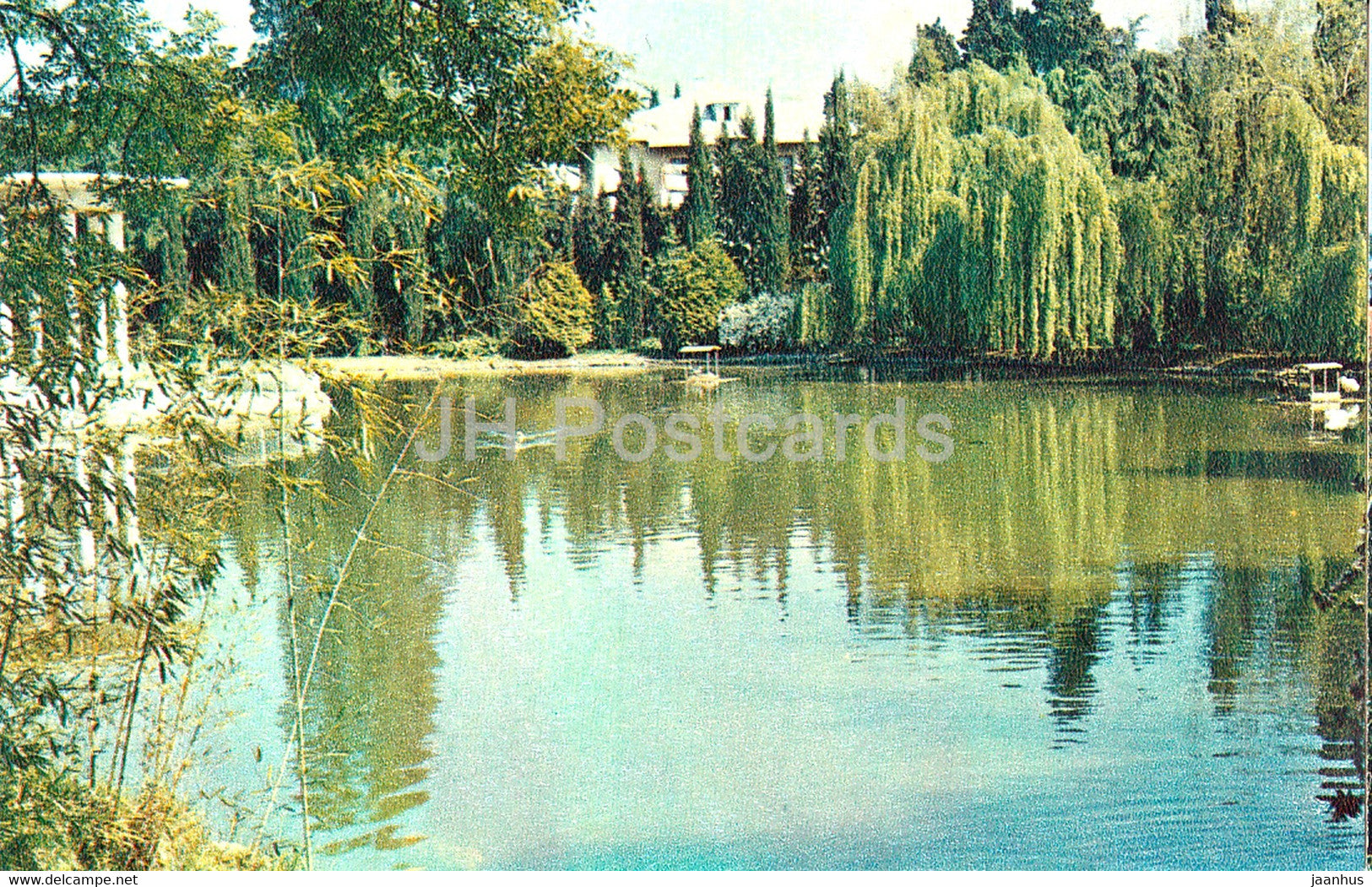 Sochi - Park Dendrarium - 1972 - Russia USSR - unused - JH Postcards
