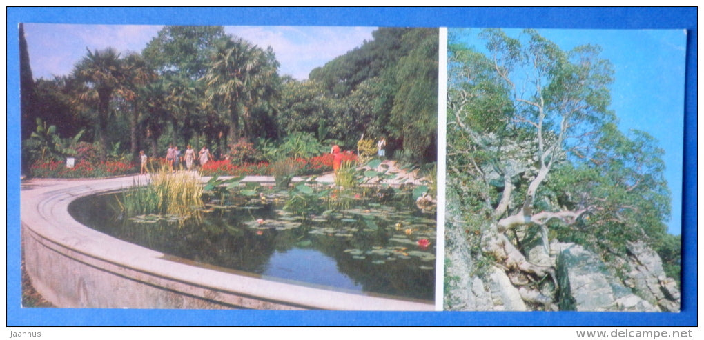 pool for aquatic plants in Lower Park - Greek Strawberry Tree - Nikitsky Botanical Garden - 1981 - Ukraine USSR - unused - JH Postcards