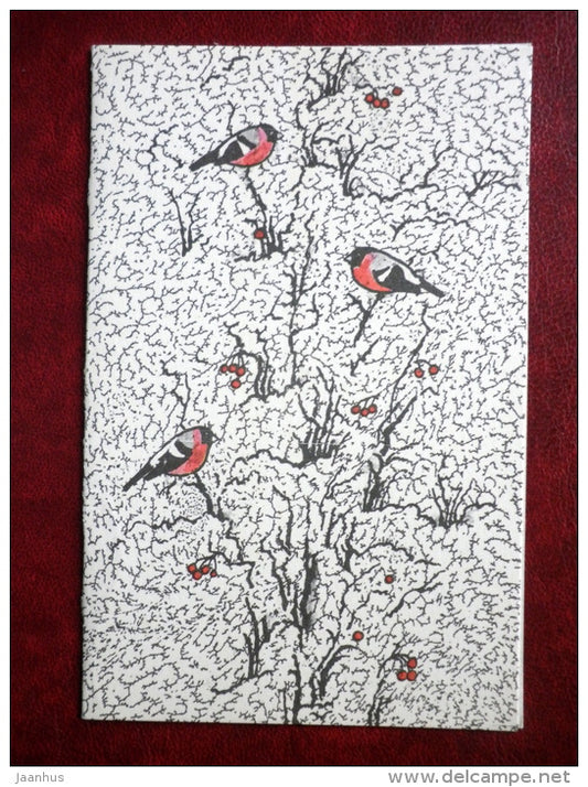 bullfinch - bird - illustration by M. Helm - 1987 - Estonia USSR - used - JH Postcards