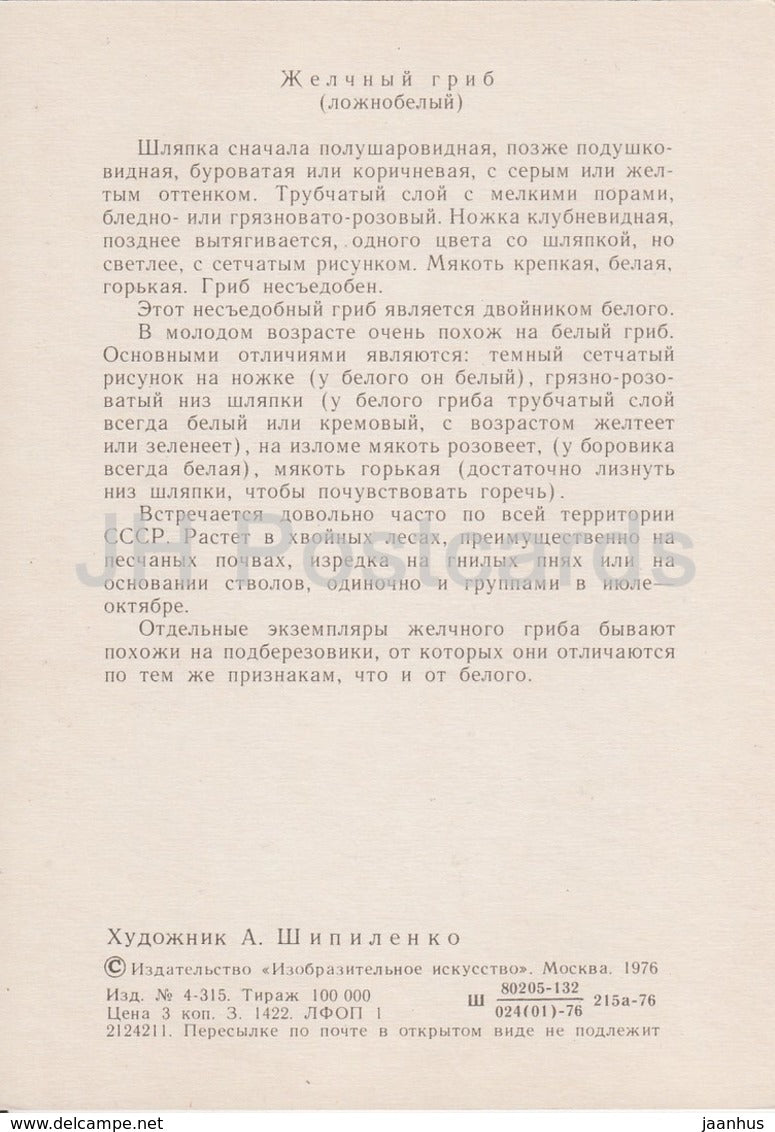 Bitter bolete - Tylopilus felleus - illustration by A. Shipilenko - Mushrooms - 1976 - Russia USSR - unused - JH Postcards
