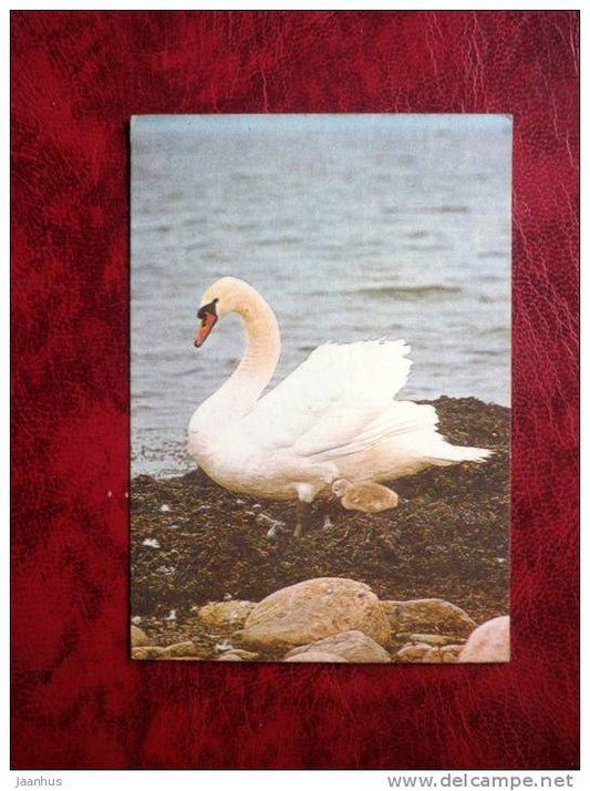 Swan - mini card - birds - 1982 - Estonia - USSR - used - JH Postcards