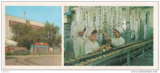 Fish Cannery - Muynak - Karakalpakstan - 1974 - Uzbekistan USSR - unused - JH Postcards