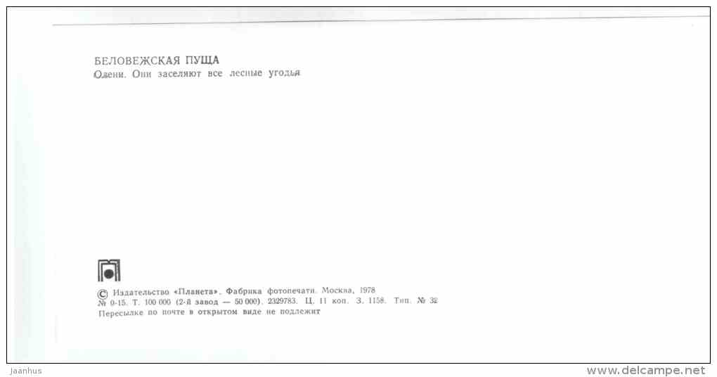 Deer - Belovezhskaya Pushcha National Park - 1978 - Russia USSR - unused - JH Postcards