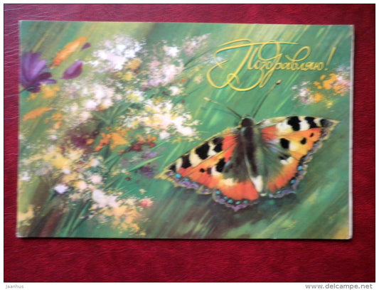 Greeting card - by N. Korobova - butterfly - daisies - cornflowers - 1984 - Russia USSR - used - JH Postcards