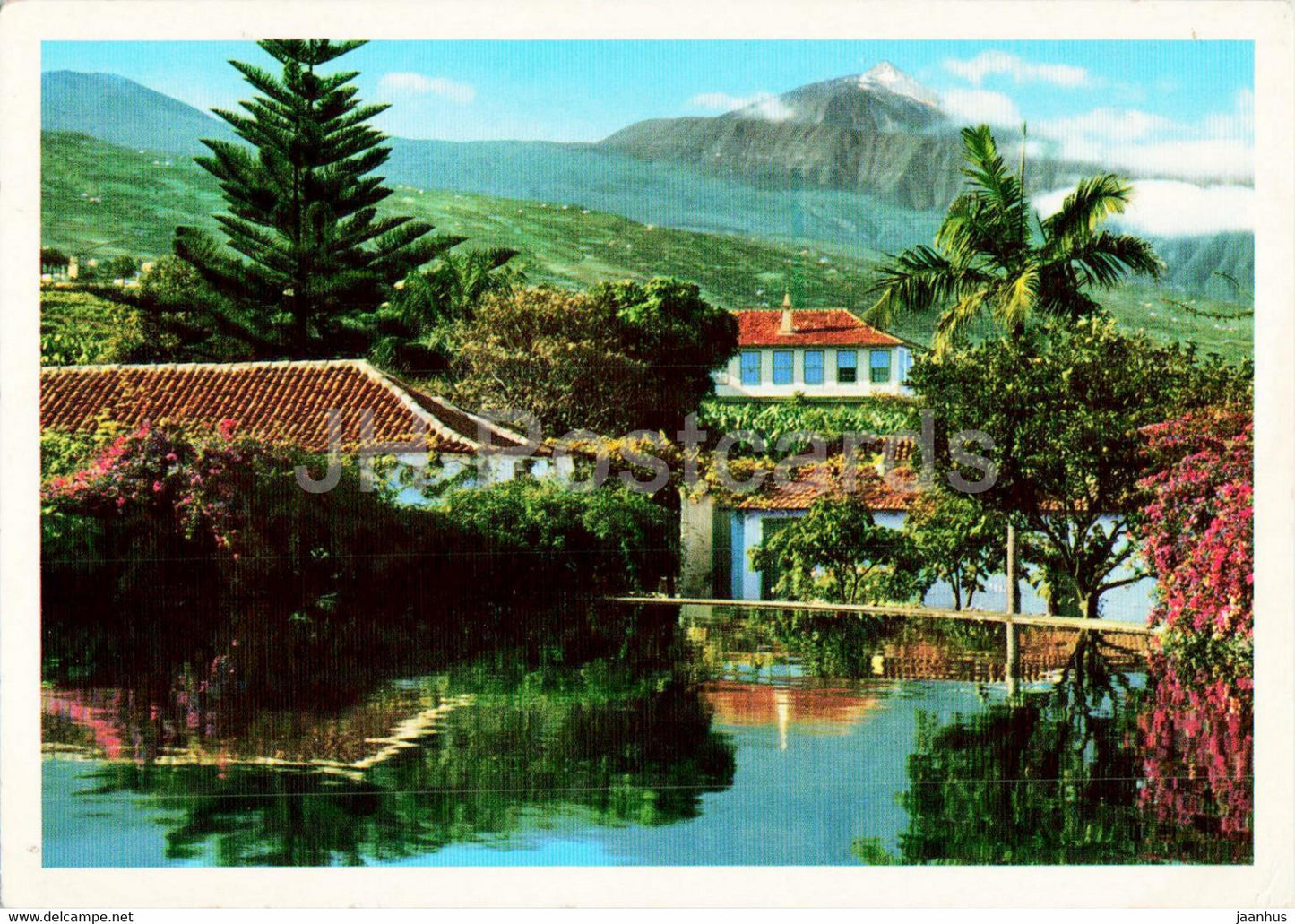 Teide - Banana plantations - Carretera del Norte - Tenerife - Canary Islands - Spain - used - JH Postcards