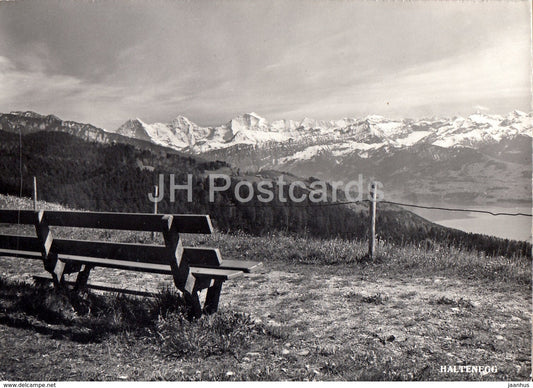 Haltenegg ob Thun 1000 m - Ausblick gegen Eiger - Monch - Jungfrau - 3902 - 1962 - Switzerland - used - JH Postcards